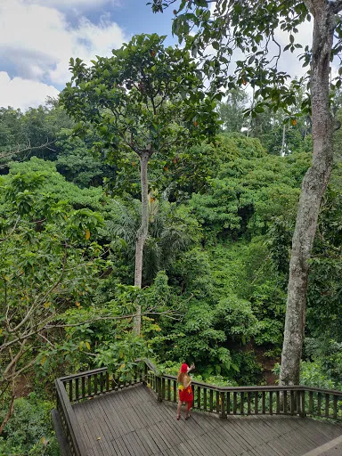 GUARDIAN - Monkey Forest 2 1