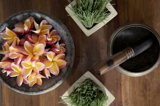 Ubud Chakra Healing 2