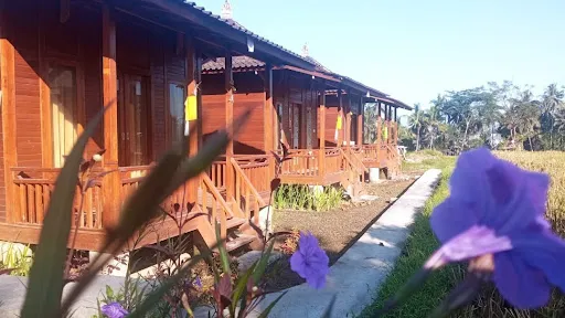 Ayu Guesthouse