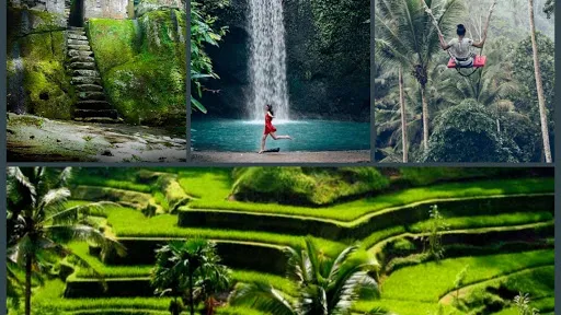 Ubud Explorer Tour 1