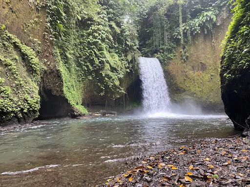 Ubud Explorer Tour 4