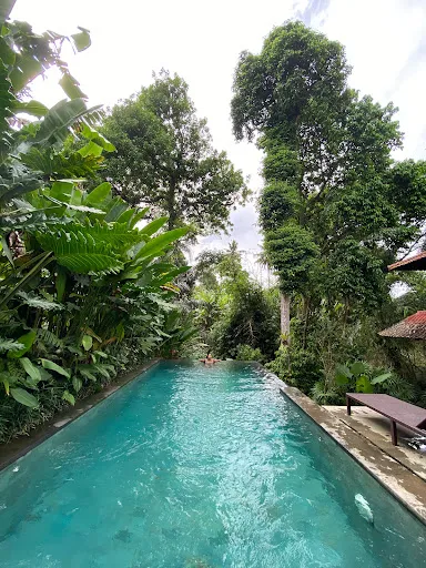 Aji Lodge Bungalows and Gallery 2