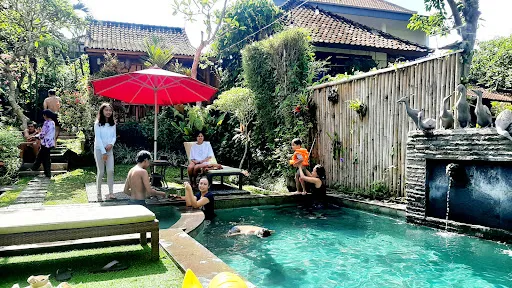 Desak Putu Putera Hidden 2