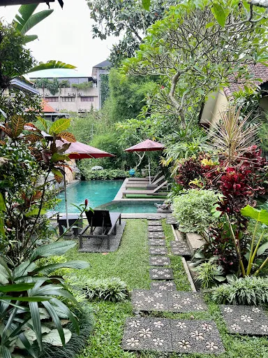 Desak Putu Putera Hidden 4