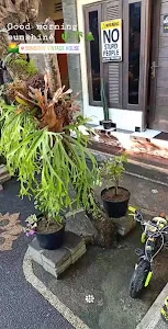 Sunshine Vintage House 1