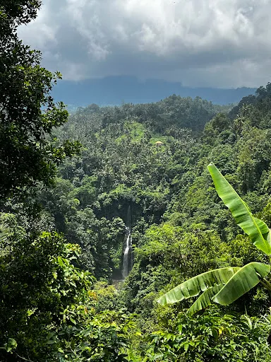 ubud taxi transfer & tours 2