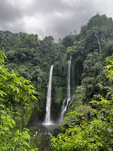 ubud taxi transfer & tours 3