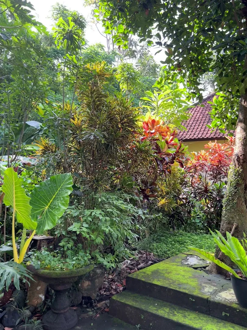 Akusara Guest House 1