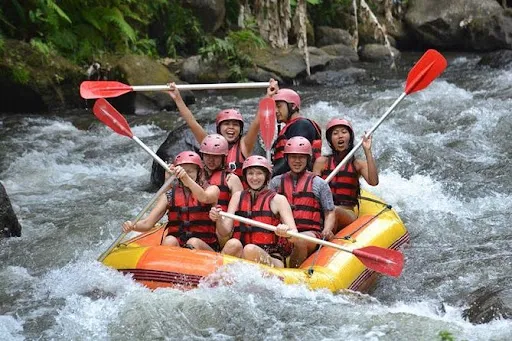 Bali taxi vacation 3