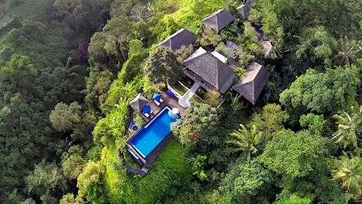 Amori Villas: Luxury Ubud Retreat 4