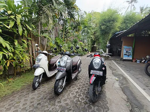 Wiguna transport, Ubud Cars & Scooters Rental, Transport services 2