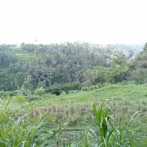 Imagine Bali Tour 2