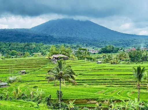 Ubud Tour & Photography 3