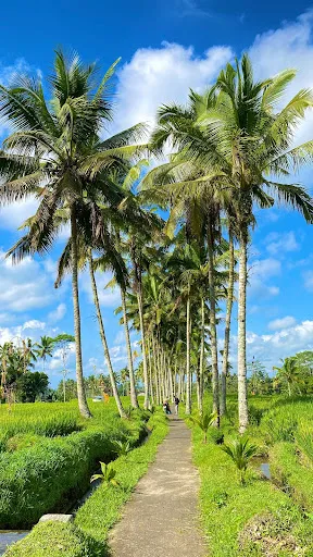 Ubud Tour & Photography 4
