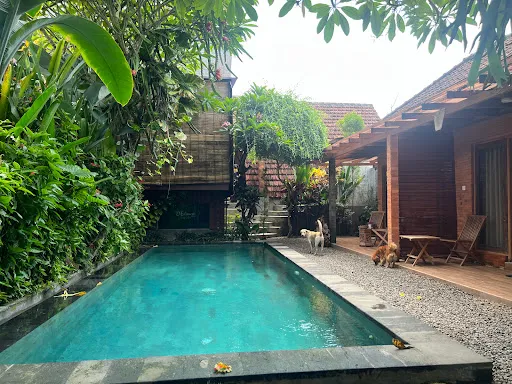 Dedeane Ubud hotel 2