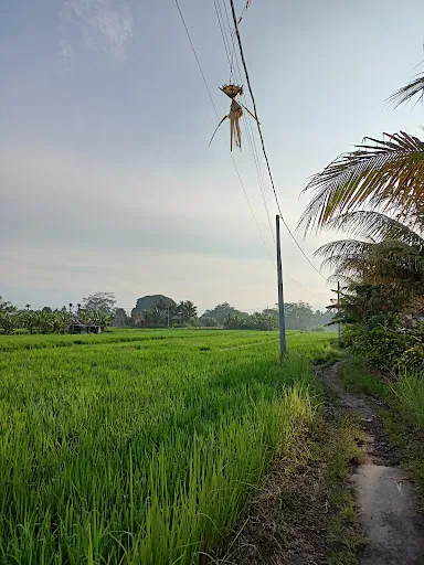 Sridewi Villas Ubud 4