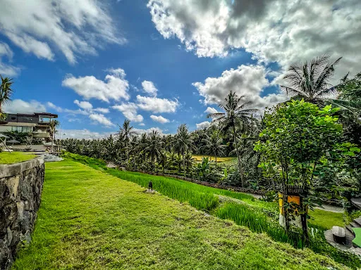 Soulshine Bali 3