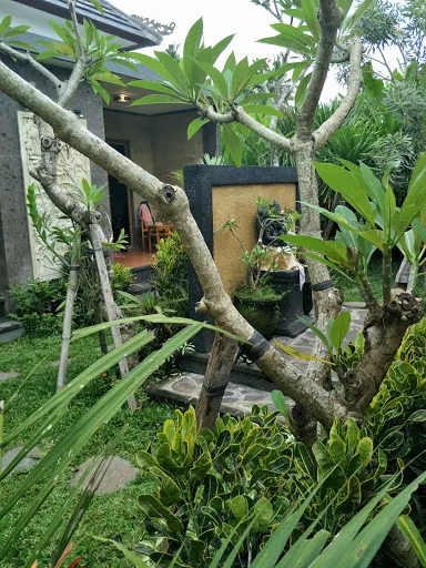 De Mangku 2