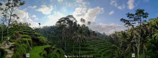 Ragane Taxi Service & Tours 1