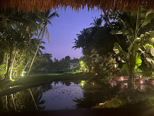 SACRED RICE Restaurant 4