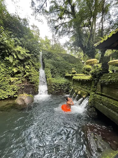 Your bali experience tour & transport 4
