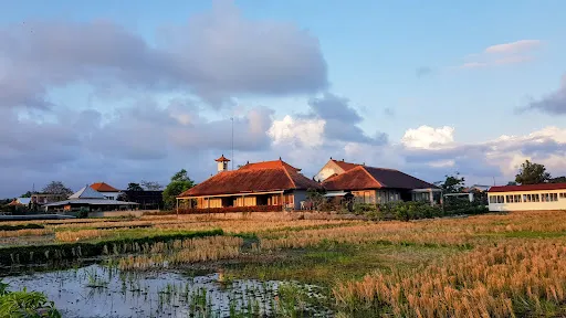 Mas Village in Bali 3
