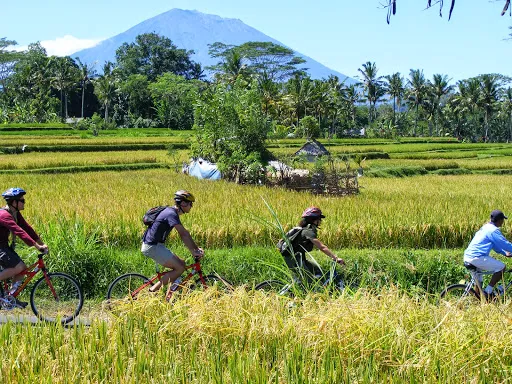 Bali Eco Cycling 1