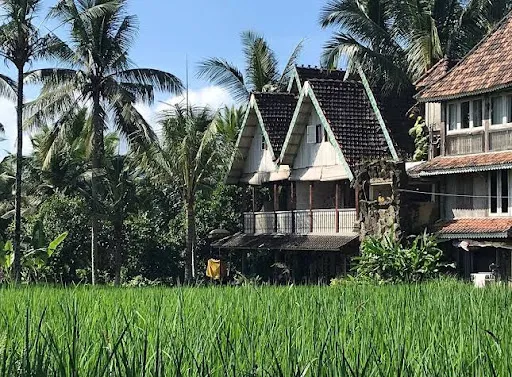 Organic Farmer at The Rice Joglo 2