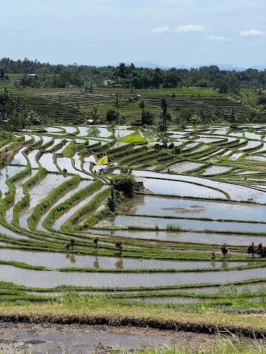 Satya Bali Tours 1