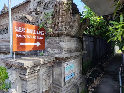 Subak Juwuk Manis Rice fields walk 4