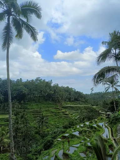 Bali VW tour driver and activity 2