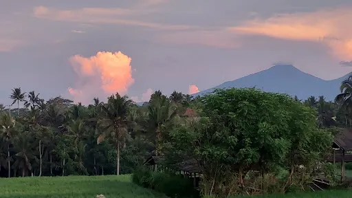 Villa Ubud Luxury Resort 3