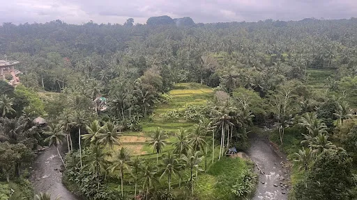 Sayan Point 4