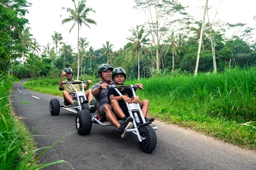 Jungle Cart Office 1