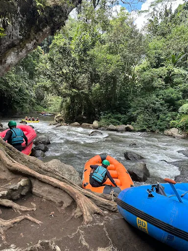 Green Bali Rafting 3