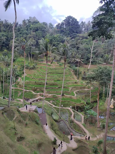 Bali Memory Tours 4