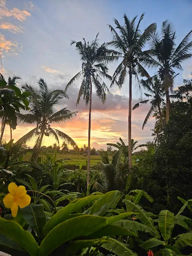 Juggan Sky 4