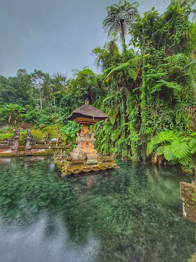 Ubud Bali Day Tour 4
