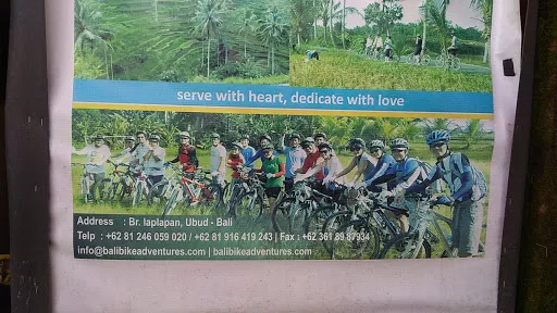 Bali Bike Adventures 2