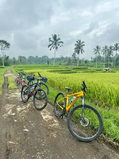 Bali Bike Adventures 3