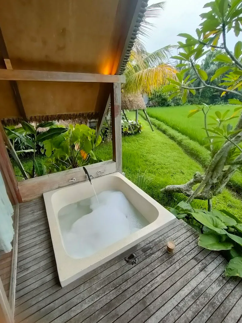 AWAN Ubud 3