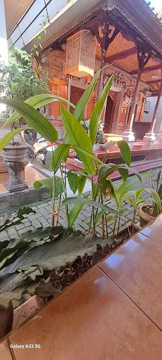 Wirya House - Homestay 3