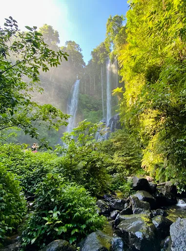 Hire Your Bali Driver 2