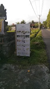 Ayu Mesari Massage 4