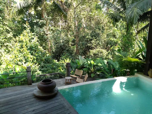 Casa Pohon Ubud 2