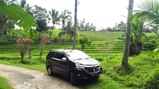 UBUD TAXI 1