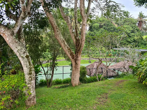 Maya Ubud Tennis Court 3
