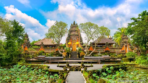Kaples VW Bali Tour 3