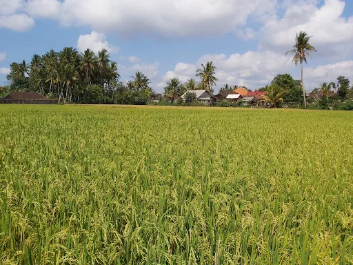 Bali Budaya Cultural Village 2