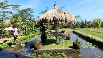 Bamboo Kitchen 2